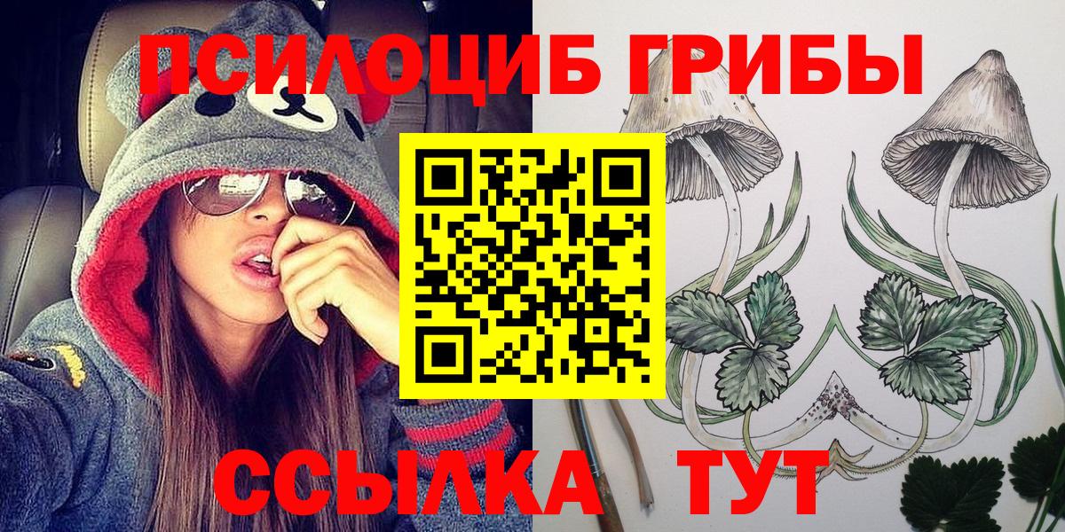 Псилоцибиновые грибы GOLDEN TEACHER  Вход с VPN  Городец 